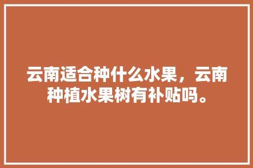 云南适合种什么水果，云南种植水果树有补贴吗。