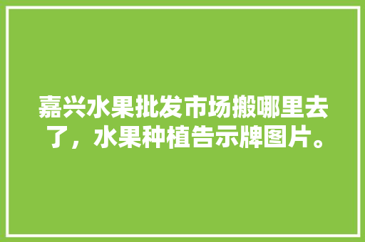 嘉兴水果批发市场搬哪里去了，水果种植告示牌图片。