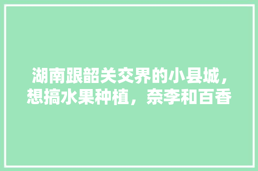 湖南跟韶关交界的小县城，想搞水果种植，奈李和百香果哪种水果易种植价值高些，水果种植去哪里好呢。