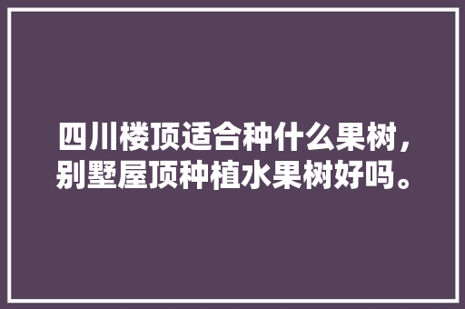 四川楼顶适合种什么果树，别墅屋顶种植水果树好吗。