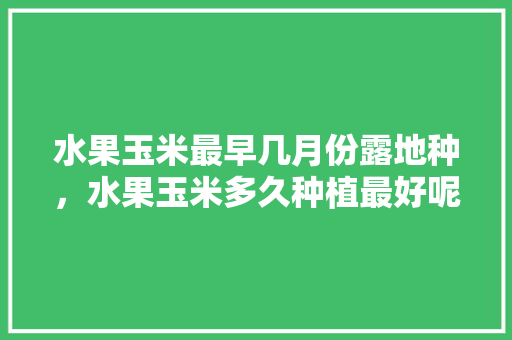 水果玉米最早几月份露地种，水果玉米多久种植最好呢。 家禽养殖