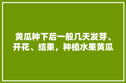 黄瓜种下后一般几天发芽、开花、结果，种植水果黄瓜几天结果啊。 蔬菜种植