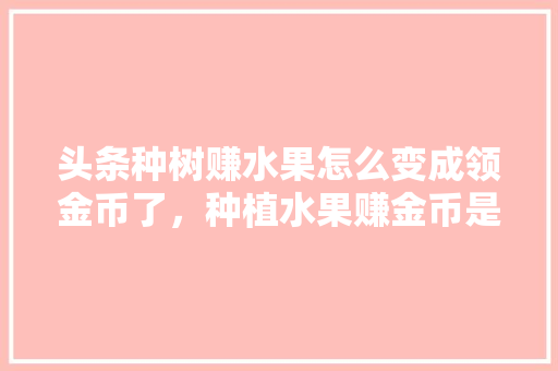 头条种树赚水果怎么变成领金币了，种植水果赚金币是真的吗。 蔬菜种植