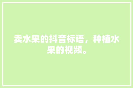 卖水果的抖音标语，种植水果的视频。 土壤施肥