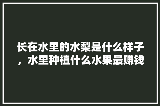 长在水里的水梨是什么样子，水里种植什么水果最赚钱呢。 土壤施肥