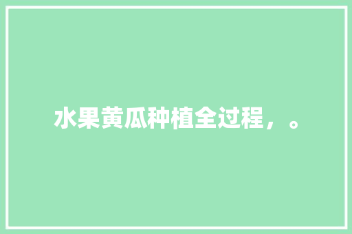 水果黄瓜种植全过程，。 水果种植