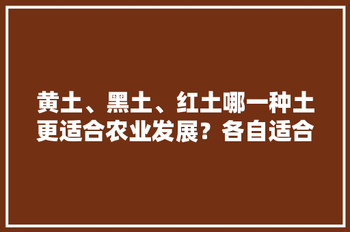 黄土、黑土、红土哪一种土更适合农业发展？各自适合种植什么东西，种植水果泥土怎么做。 黄土、黑土、红土哪一种土更适合农业发展？各自适合种植什么东西，种植水果泥土怎么做。 蔬菜种植