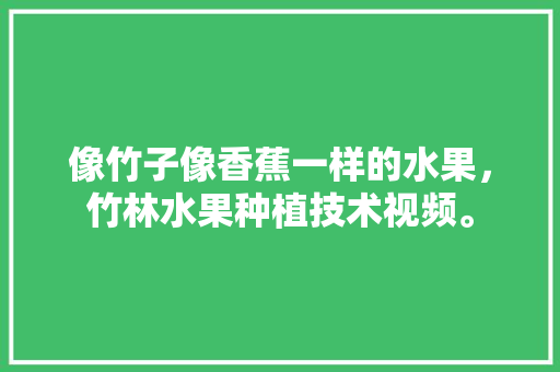 像竹子像香蕉一样的水果，竹林水果种植技术视频。 畜牧养殖