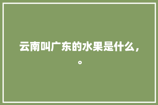 云南叫广东的水果是什么，。 蔬菜种植