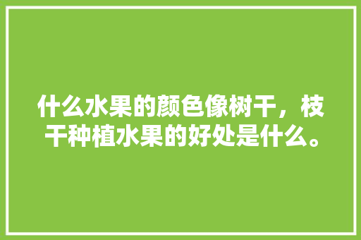 什么水果的颜色像树干，枝干种植水果的好处是什么。 蔬菜种植