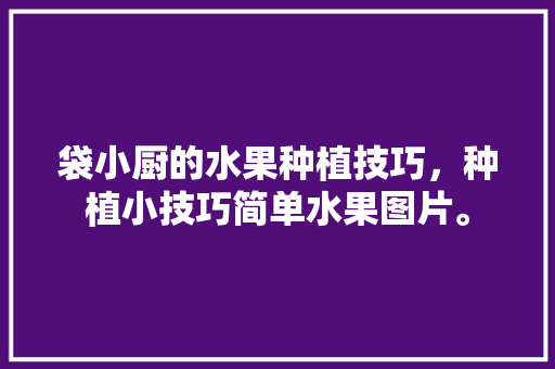 袋小厨的水果种植技巧，种植小技巧简单水果图片。 水果种植