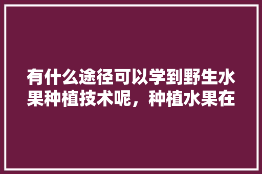 有什么途径可以学到野生水果种植技术呢，种植水果在哪学比较好。 畜牧养殖