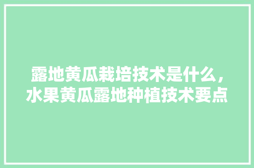 露地黄瓜栽培技术是什么，水果黄瓜露地种植技术要点。 畜牧养殖