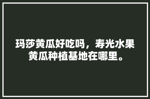 玛莎黄瓜好吃吗，寿光水果黄瓜种植基地在哪里。 玛莎黄瓜好吃吗，寿光水果黄瓜种植基地在哪里。 水果种植