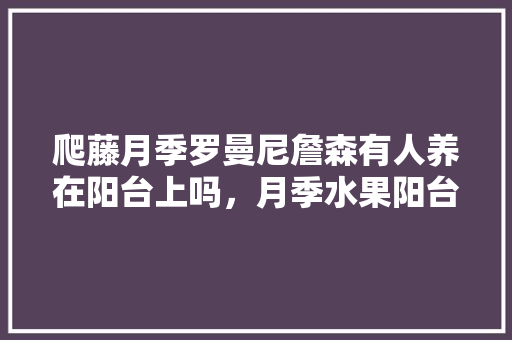 爬藤月季罗曼尼詹森有人养在阳台上吗，月季水果阳台种植方法视频。 土壤施肥