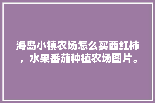 海岛小镇农场怎么买西红柿，水果番茄种植农场图片。 土壤施肥