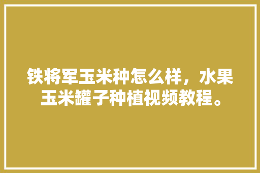 铁将军玉米种怎么样，水果玉米罐子种植视频教程。 土壤施肥