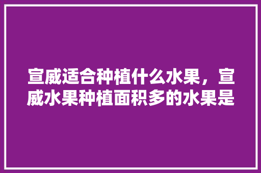 宣威适合种植什么水果，宣威水果种植面积多的水果是什么。 蔬菜种植