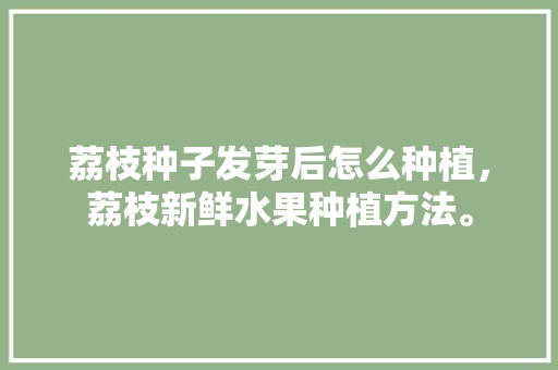 荔枝种子发芽后怎么种植，荔枝新鲜水果种植方法。 蔬菜种植