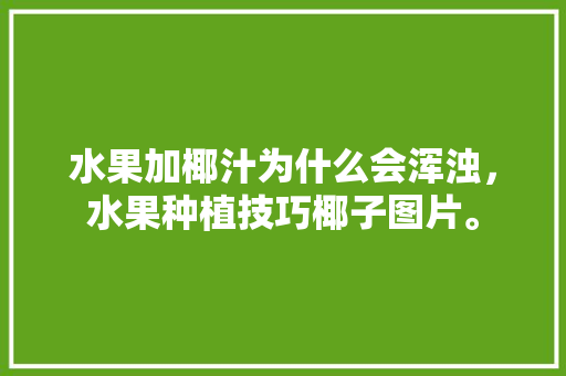 水果加椰汁为什么会浑浊，水果种植技巧椰子图片。 土壤施肥