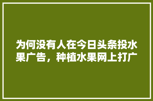 为何没有人在今日头条投水果广告，种植水果网上打广告违法吗。 水果种植