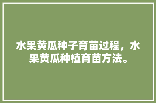 水果黄瓜种子育苗过程，水果黄瓜种植育苗方法。 畜牧养殖