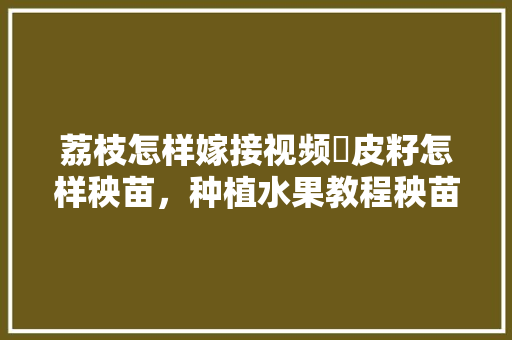 荔枝怎样嫁接视频黃皮籽怎样秧苗，种植水果教程秧苗视频大全。 水果种植