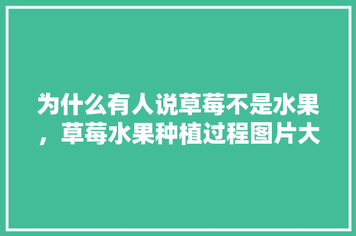 为什么有人说草莓不是水果，草莓水果种植过程图片大全。 畜牧养殖