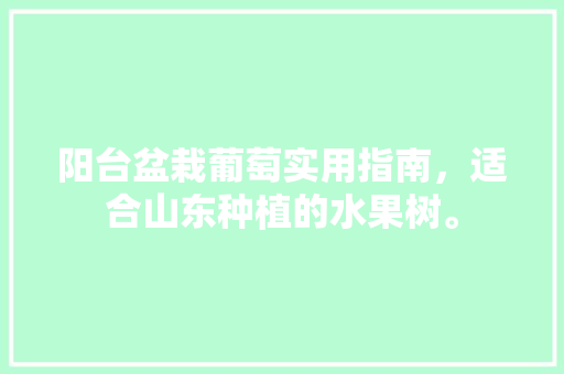 阳台盆栽葡萄实用指南，适合山东种植的水果树。 阳台盆栽葡萄实用指南，适合山东种植的水果树。 家禽养殖