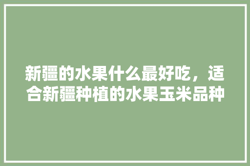 新疆的水果什么最好吃，适合新疆种植的水果玉米品种。 蔬菜种植