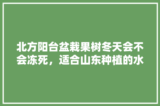 北方阳台盆栽果树冬天会不会冻死，适合山东种植的水果树。 北方阳台盆栽果树冬天会不会冻死，适合山东种植的水果树。 畜牧养殖