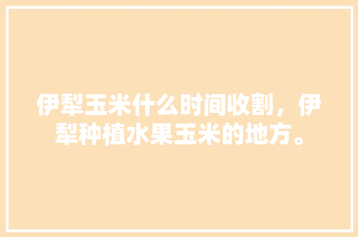 伊犁玉米什么时间收割，伊犁种植水果玉米的地方。 蔬菜种植