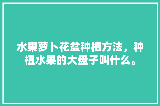 水果萝卜花盆种植方法，种植水果的大盘子叫什么。 蔬菜种植