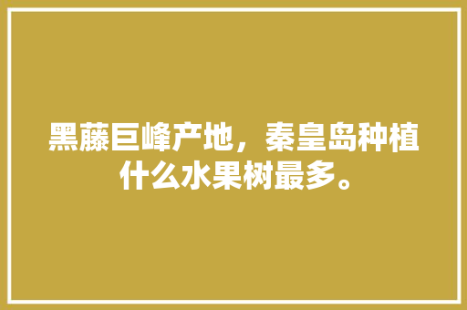 黑藤巨峰产地，秦皇岛种植什么水果树最多。 黑藤巨峰产地，秦皇岛种植什么水果树最多。 蔬菜种植