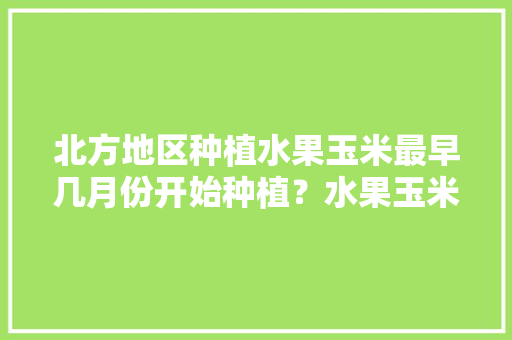 北方地区种植水果玉米最早几月份开始种植？水果玉米怎么管理，2020年水果种植面积。 水果种植