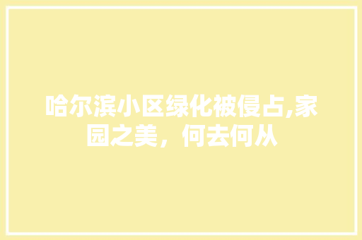 哈尔滨小区绿化被侵占,家园之美，何去何从