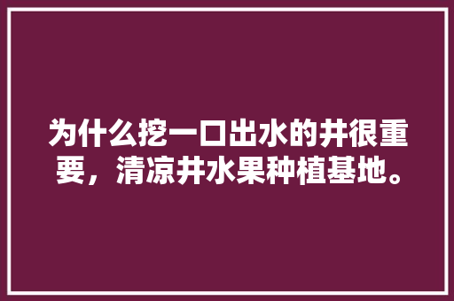 为什么挖一口出水的井很重要，清凉井水果种植基地。 蔬菜种植