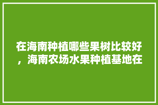 在海南种植哪些果树比较好，海南农场水果种植基地在哪。