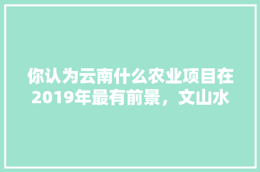 你认为云南什么农业项目在2019年最有前景，文山水果杨梅种植基地。 你认为云南什么农业项目在2019年最有前景，文山水果杨梅种植基地。 家禽养殖