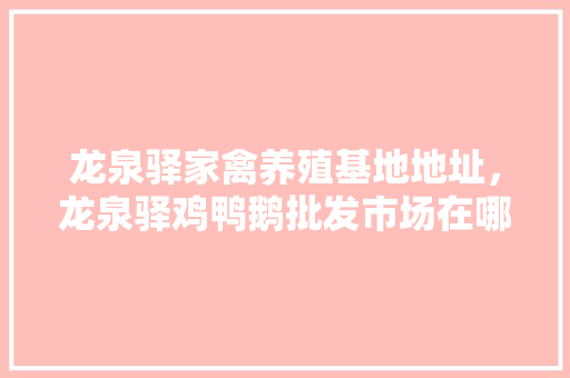 龙泉驿家禽养殖基地地址，龙泉驿鸡鸭鹅批发市场在哪。 龙泉驿家禽养殖基地地址，龙泉驿鸡鸭鹅批发市场在哪。 家禽养殖