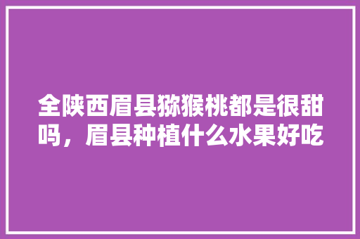 全陕西眉县猕猴桃都是很甜吗，眉县种植什么水果好吃。 全陕西眉县猕猴桃都是很甜吗，眉县种植什么水果好吃。 畜牧养殖