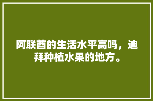 阿联酋的生活水平高吗，迪拜种植水果的地方。 阿联酋的生活水平高吗，迪拜种植水果的地方。 蔬菜种植