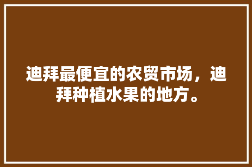 迪拜最便宜的农贸市场，迪拜种植水果的地方。 迪拜最便宜的农贸市场，迪拜种植水果的地方。 畜牧养殖