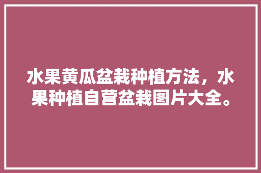 水果黄瓜盆栽种植方法，水果种植自营盆栽图片大全。 水果黄瓜盆栽种植方法，水果种植自营盆栽图片大全。 水果种植