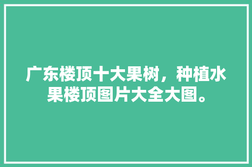 广东楼顶十大果树，种植水果楼顶图片大全大图。 广东楼顶十大果树，种植水果楼顶图片大全大图。 土壤施肥