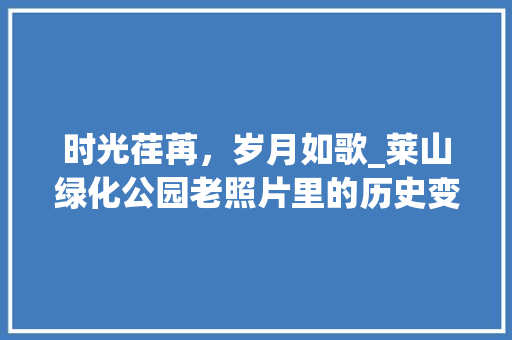 时光荏苒，岁月如歌_莱山绿化公园老照片里的历史变迁