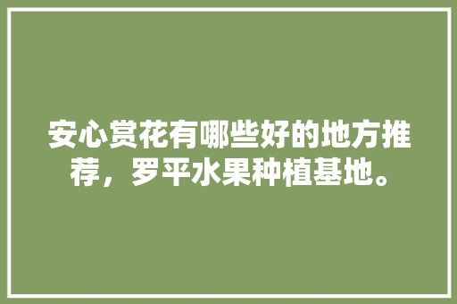 安心赏花有哪些好的地方推荐，罗平水果种植基地。 安心赏花有哪些好的地方推荐，罗平水果种植基地。 蔬菜种植