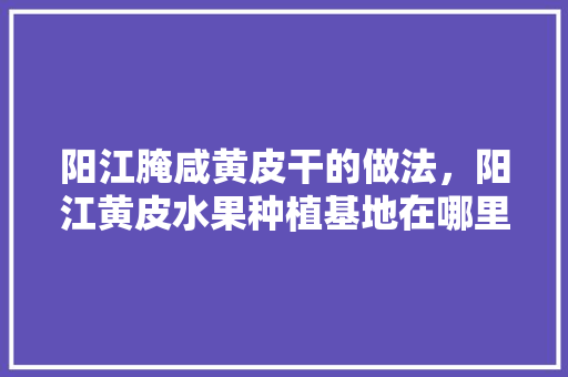 阳江腌咸黄皮干的做法，阳江黄皮水果种植基地在哪里。