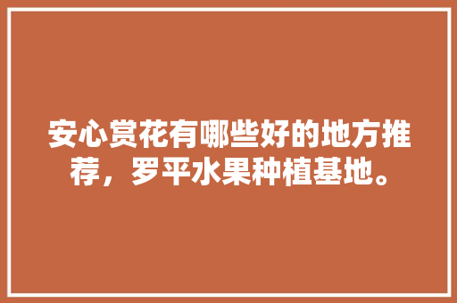 安心赏花有哪些好的地方推荐，罗平水果种植基地。 安心赏花有哪些好的地方推荐，罗平水果种植基地。 土壤施肥