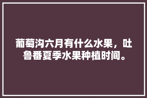 葡萄沟六月有什么水果，吐鲁番夏季水果种植时间。